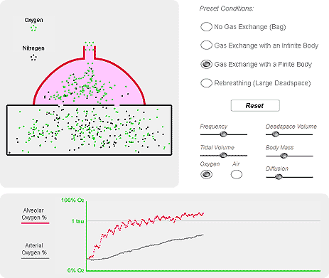 Stochastic Simulation of Preoxygenation (Denitrogenation)
