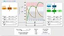 Simulation of Propofol and Fospropofol Pharmacokinetics